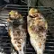 Barbecued Sea Bream