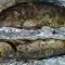 Sea Bass in Foil with Rosemary and Parsley