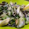 Donax Mussels with Garlic and Parsley