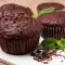 Chocolate Cupcakes