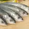 Mackerel with Parsley and Tomato Sauce