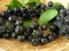 Aronia