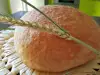 Rustic Bread with Yeast in a Furnace