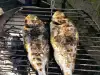 Barbecued Sea Bream