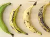 Green, Yellow or Brown Banana: Which One is Most Healthy?