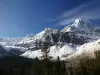 Crowfoot Glacier