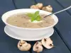 Oyster Mushroom Cream Soup