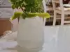 Gin Fizz Cocktail