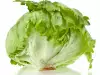 Lechuga Iceberg