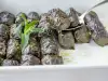 Oven-Baked Dock Sarma