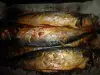 Natural Oven Grilled Mackerel