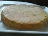 Sponge Cake Layer