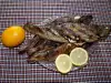 Easy Grilled Trout