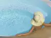 Swimming in a hotel pool