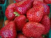 Storing Strawberries and Cherries