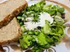 Healthy Purslane Salad with Yogurt Sauce