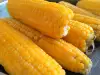 Boiled Corn on the Cob