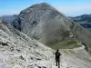 Pirin National Park